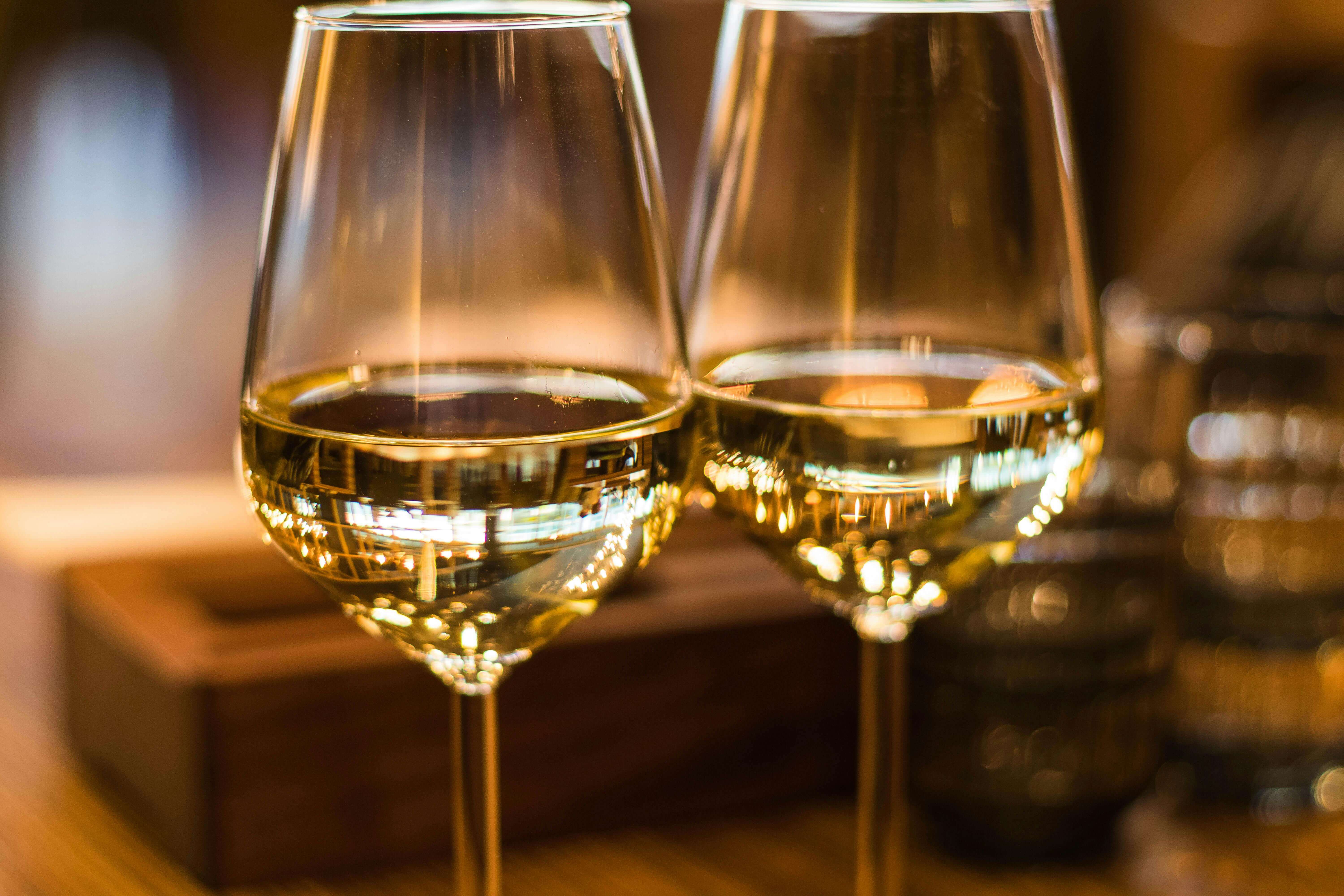 Wine Tasting Experience
